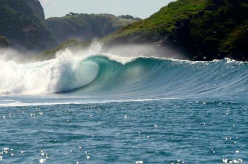 Barrel Homestay Areguling