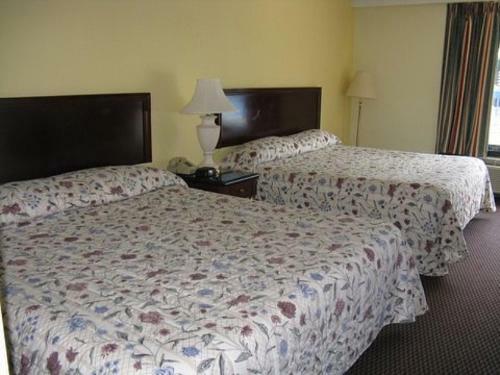 Hotel Walking Horse Lodge