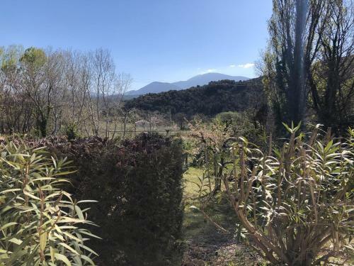 Hotel Le Mas D'h�l�ne