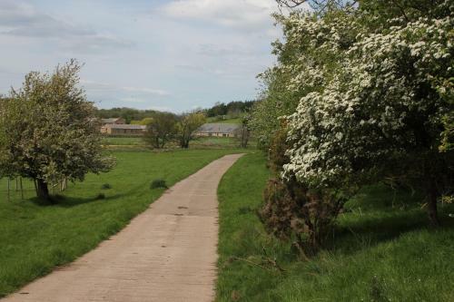 Brockram & Keld Barns