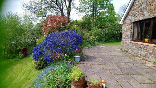 Longlane House B&b, Laugharne