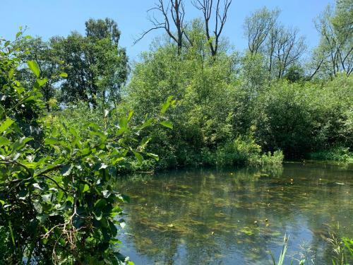 Wensum Glamping