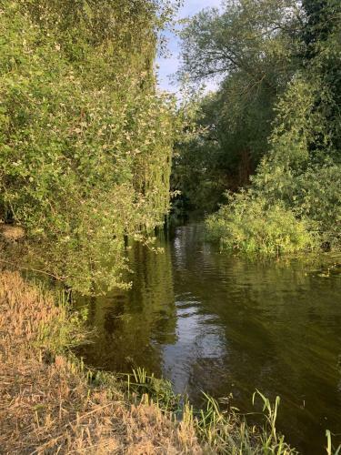 Wensum Glamping