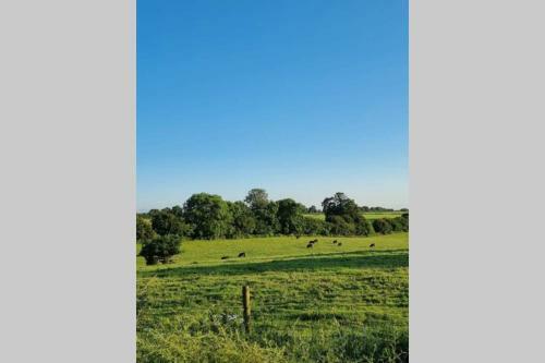 Villa Luxury 4 Bedroom Converted Barn Close To Warner Bro's