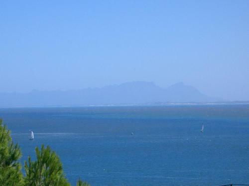 Apartamento Whale Views