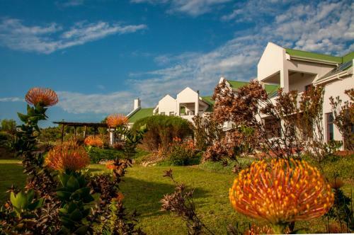 Hostal Wind-rose Guest House