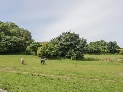Pen Y Bryn Cottage, Llandudno Junction