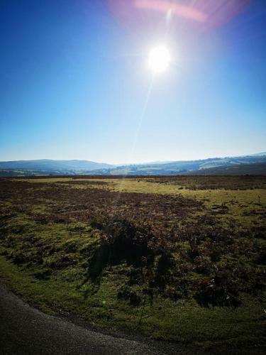 Pen-rhos Luxury Glamping "cuckoo's Nest"