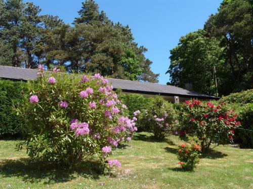 Deganwy Cottage