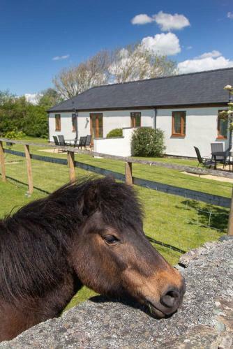 Mynydd Cottage