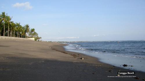 Jawato Homestay 1&2