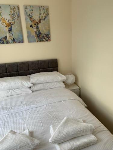 Hotel Smeaton Street Accommodation