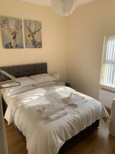 Hotel Smeaton Street Accommodation