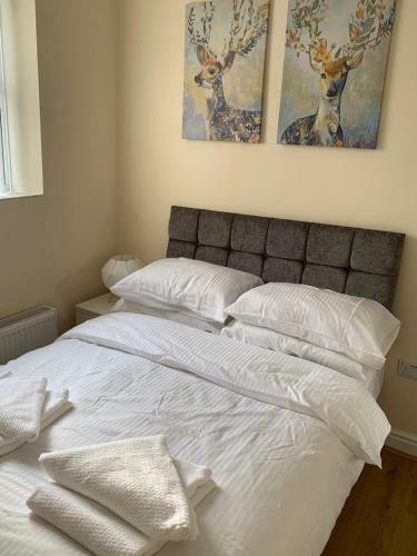 Hotel Smeaton Street Accommodation