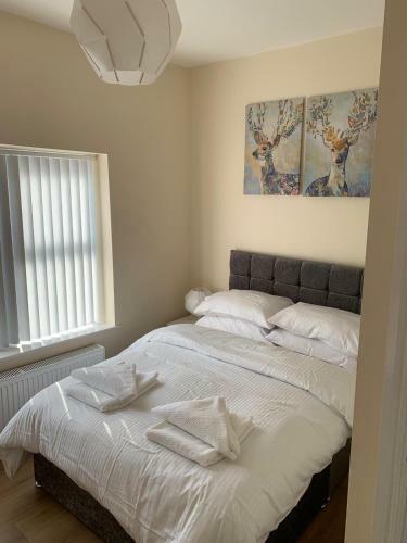Hotel Smeaton Street Accommodation