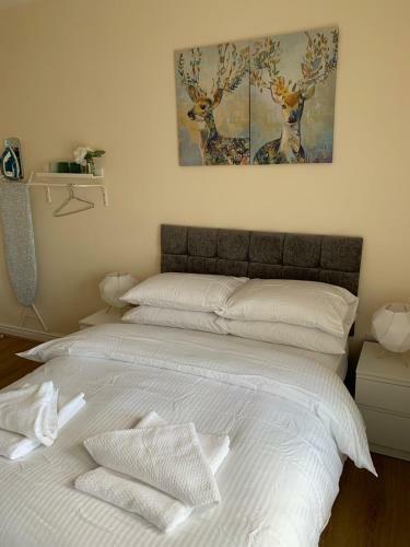 Hotel Smeaton Street Accommodation