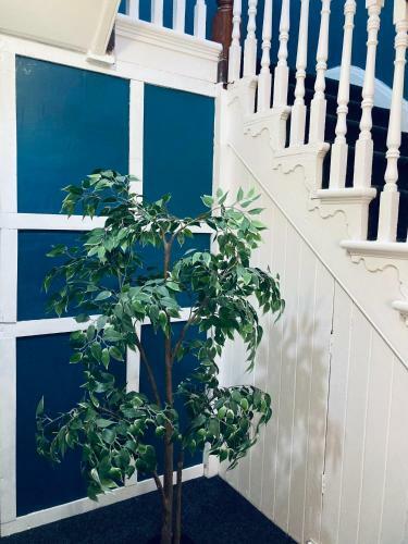 Hostal Abbeyfield Guesthouse