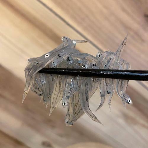 Trawl