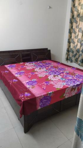 Sunshine Homestays