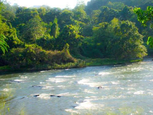 Hotel Kitulgala Rest House