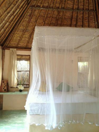 Hotel Cocodance Kitesurfing Resort