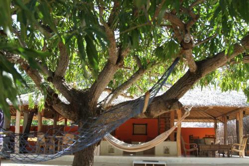 Hotel Cocodance Kitesurfing Resort