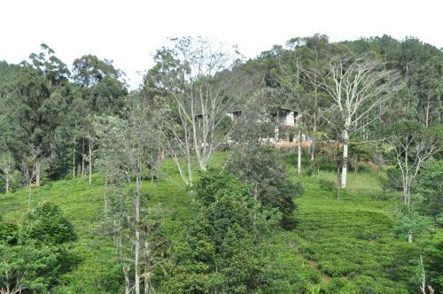 Pasla Hotel