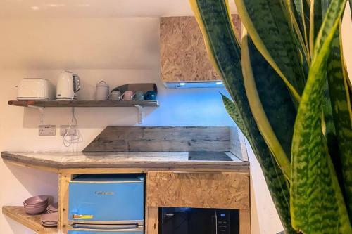 Fern Studio 1 Bedroom Apartment