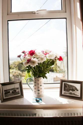Arallt Holiday Cottage