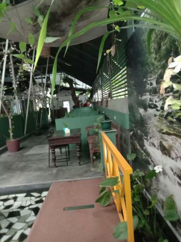 Hostal De-lima Guest House & Cafe