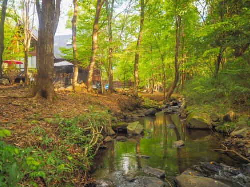 Nasu No Kyujitu - Vacation Stay 12078