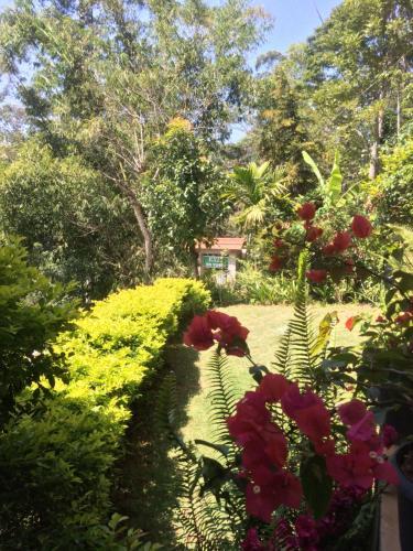 Hostal Rock Side Inn - Ella