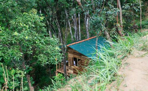 Ella Ecolodge