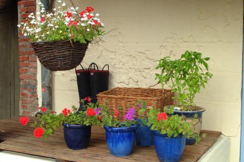 Bed & Breakfast Maison Durran