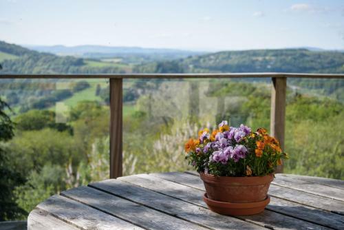 Wye Valley Forest Retreat