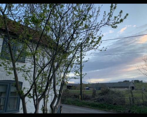 2 Bed Cosy Cottage