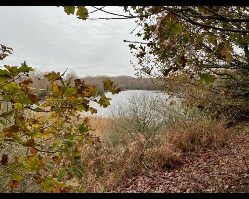 2 Bed Cosy Cottage