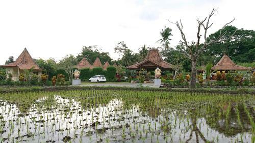 Villa Riverisde Kalijeruk