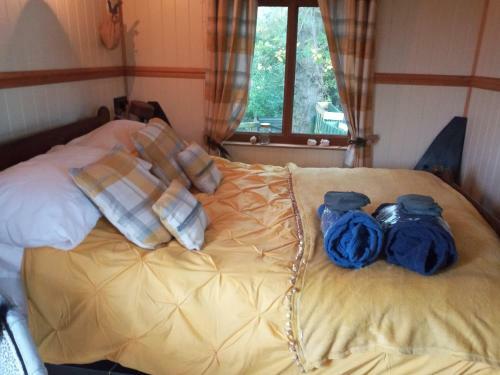 Glamping Malvern Shepherd Hut