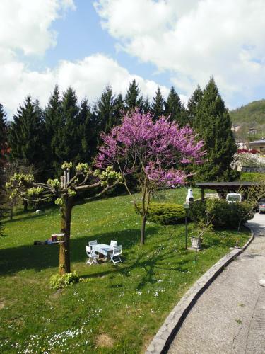 Apartamento B&B I Baloss