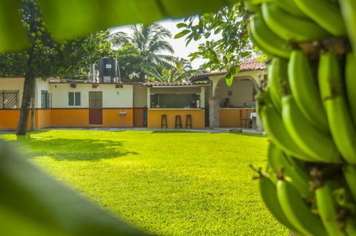La Pingui Hotel