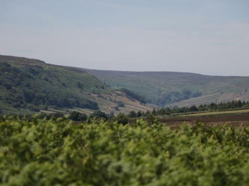 Hartswood Farm