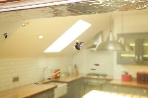 Apartamento Manhattan Loft