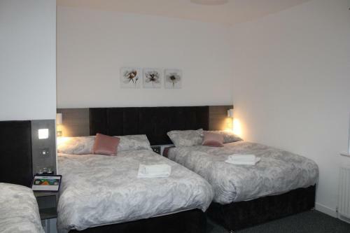Lovely, Spacious 3 Bed House Close To City Centre