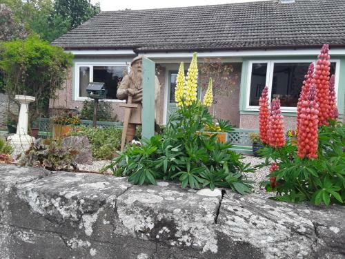 Bed & Breakfast The Haven