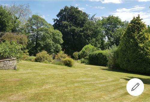 Cosy 2-bed Property In Ashburton Dartmoor