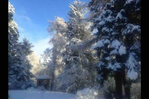 Apartamento The Beeches Studio, Highlands Of Scotland
