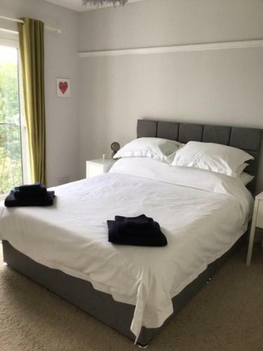 Rosecroft, Beautiful Large Home, Next To Celtic Manor & Icc