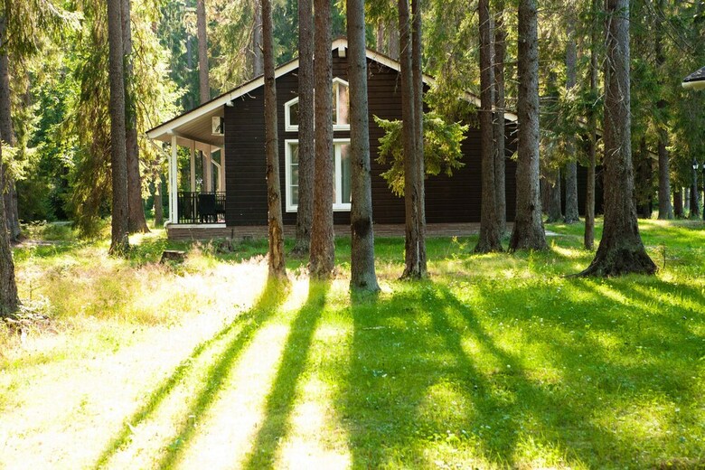 Tsarstvo Korolevstvo