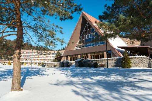 Activitypark Hotel Vsemina
